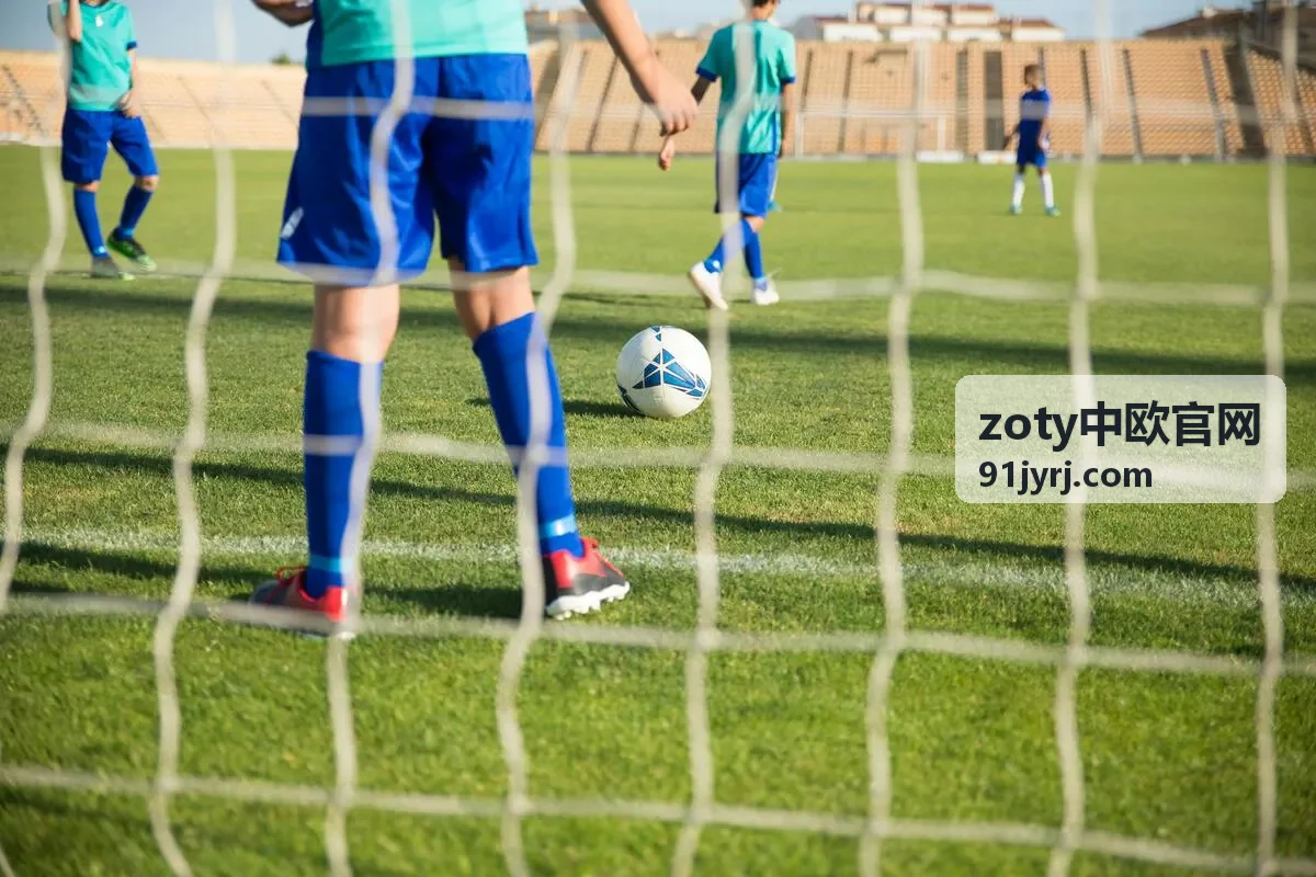 zoty中欧官网市场准入与企业设立指南
