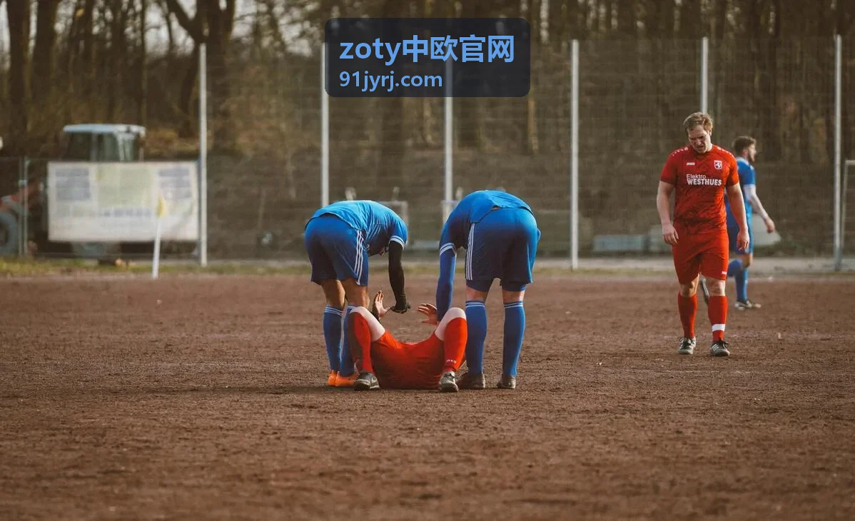 zoty中欧官网合规与税务管理指南