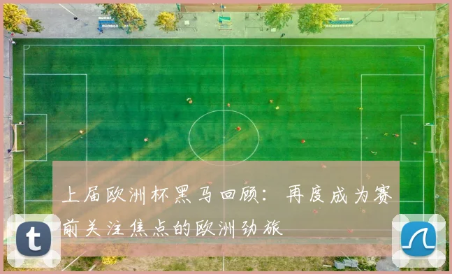 上届欧洲杯黑马回顾：再度成为赛前关注焦点的欧洲劲旅