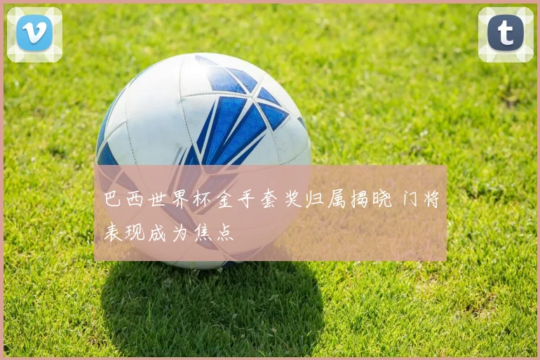 巴西世界杯金手套奖归属揭晓 门将表现成为焦点
